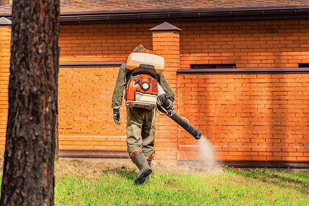 Trusted Cockroach Control service in West Easton, PA - Nex Pest Control